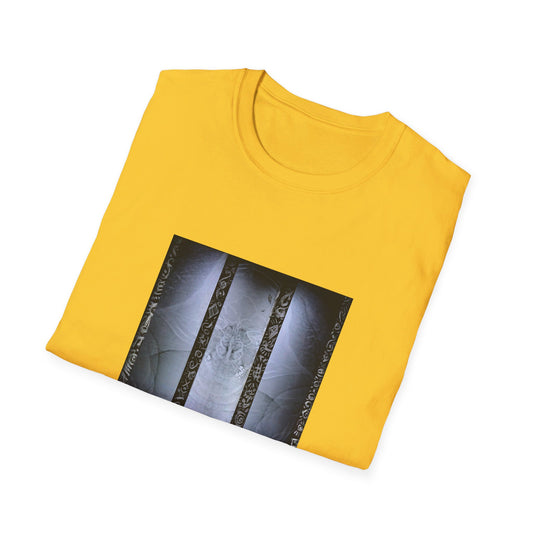 The Blessing 2 - Dr.13 Xray Series